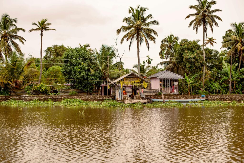 some coconut trees, small houses near the lake